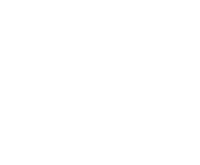 Evolution games at Royal Spin Club Casino